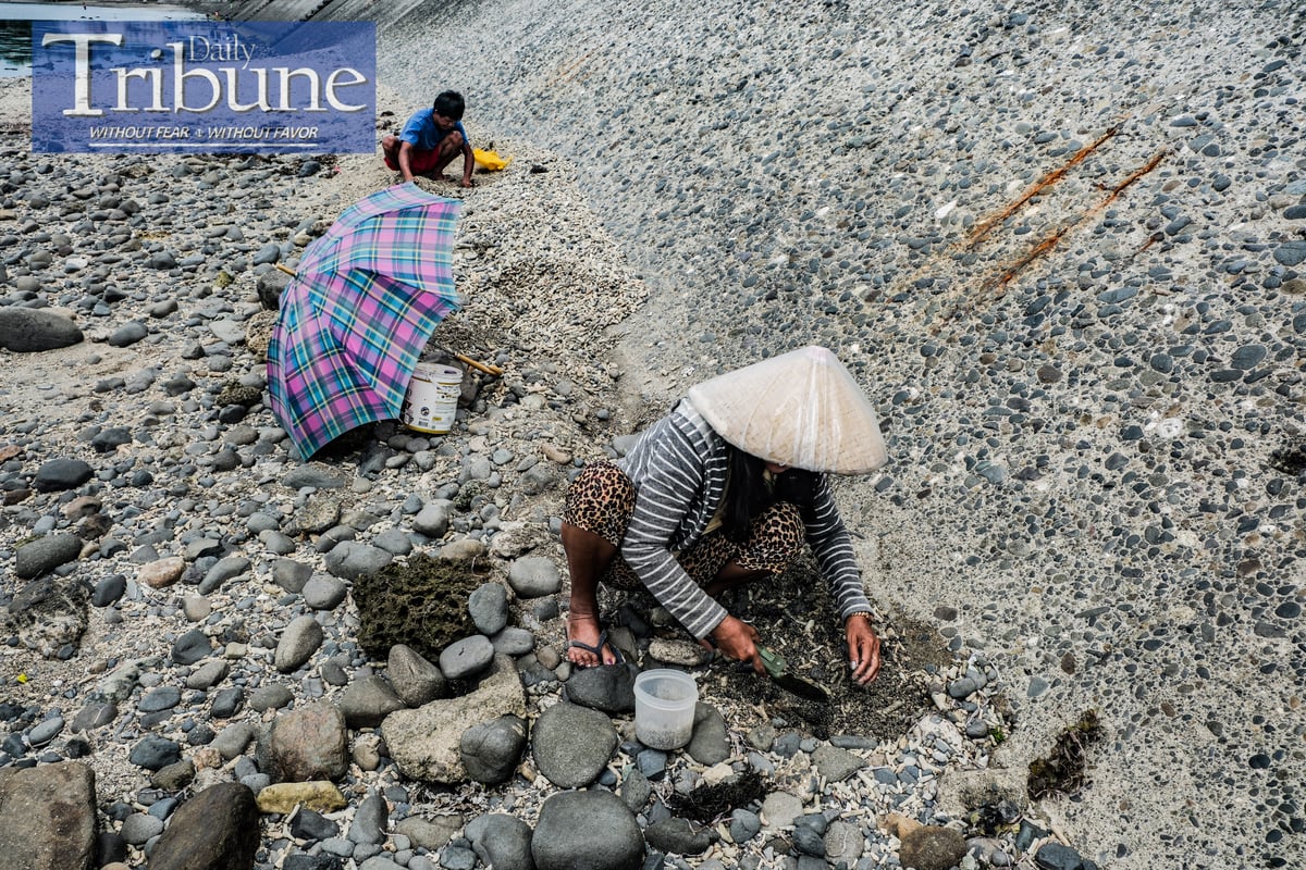 Mayeth and her neighbor, Lon, gather worms to use as bait for fishing at Mabua Beach in Tandag, Surigao del Sur, on 19 June 2024. According to Mayeth, using worms as bait is a more economical option compared to purchasing shrimp, making their fishing trips more affordable and sustainable. The pair spend their early mornings searching for worms along the beach, a practice that not only saves them money but also connects them more deeply with their local environment.